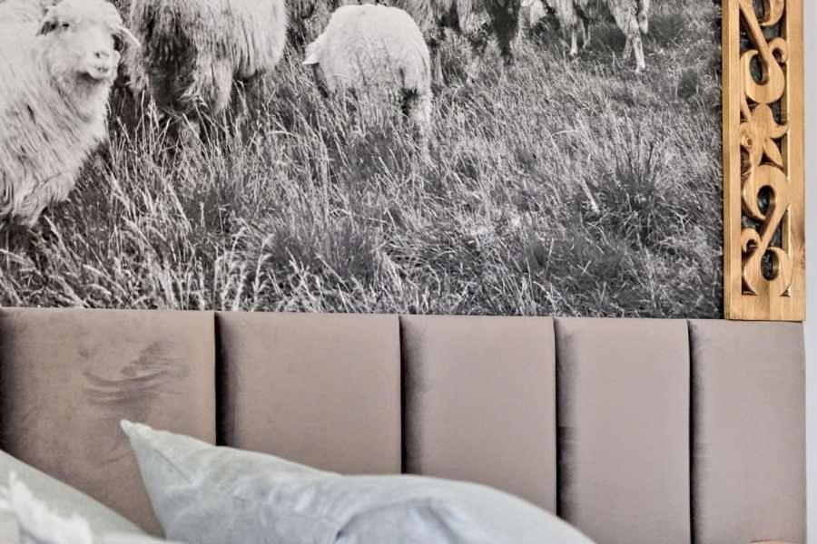 Willa U Baranow Zakopane Luaran gambar